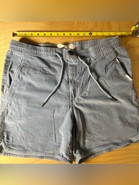 Laguna B Men’s Hybrid Shorts in Light Blue (M)
